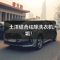 土洋结合祛除洗衣机污垢！（图4）