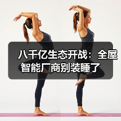 八千亿生态开战：全屋智能厂商别装睡了（图4）