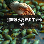 加湿器水雾喷多了未必好（图3）