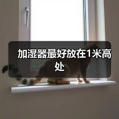 加湿器最好放在1米高处(图1) 加湿器最好放在1米高处(图1)