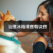 治理冰箱噪音有诀窍(图4) 治理冰箱噪音有诀窍(图4)