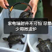 家电辐射并不可怕 尽量少用微波炉（图3）