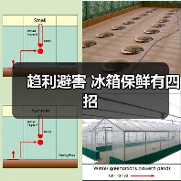 趋利避害 冰箱保鲜有四招(图1) 趋利避害 冰箱保鲜有四招(图1)