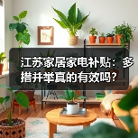 江苏家居家电补贴:多措并举真的有效吗?(图3) 江苏家居家电补贴:多措并举真的有效吗?(图3)