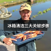冰箱清洁三大关键步骤（图1）