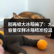 别再被大冰箱骗了：大容量保鲜冰箱精准控温净味除菌热销，但90%的人用错了（图2）
