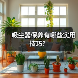 吸尘器保养有哪些实用技巧？（图2）