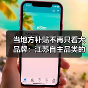 当地方补贴不再只看大品牌:江苏自主品类的消费实验(图2) 当地方补贴不再只看大品牌:江苏自主品类的消费实验(图2)