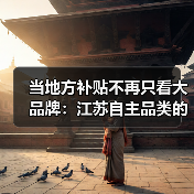 当地方补贴不再只看大品牌:江苏自主品类的消费实验(图3) 当地方补贴不再只看大品牌:江苏自主品类的消费实验(图3)