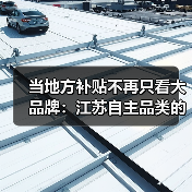 当地方补贴不再只看大品牌:江苏自主品类的消费实验(图1) 当地方补贴不再只看大品牌:江苏自主品类的消费实验(图1)