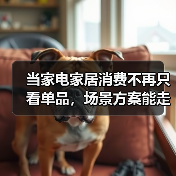 当家电家居消费不再只看单品,场景方案能走多远(图4) 当家电家居消费不再只看单品,场景方案能走多远(图4)