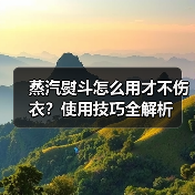 蒸汽熨斗怎么用才不伤衣?使用技巧全解析(图4) 蒸汽熨斗怎么用才不伤衣?使用技巧全解析(图4)