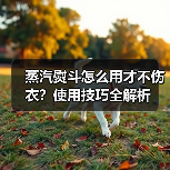 蒸汽熨斗怎么用才不伤衣?使用技巧全解析(图3) 蒸汽熨斗怎么用才不伤衣?使用技巧全解析(图3)