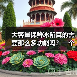 大容量保鲜冰箱真的需要那么多功能吗?一个冷静观察(图4) 大容量保鲜冰箱真的需要那么多功能吗?一个冷静观察(图4)