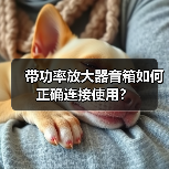 带功率放大器音箱如何正确连接使用？（图2）