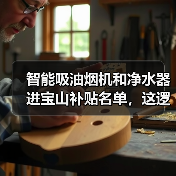 智能吸油烟机和净水器进宝山补贴名单，这逻辑对吗？（图4）