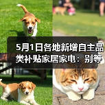 5月1日各地新增自主品类补贴家居家电:别等618了,这波羊毛你根本薅不全(图3) 5月1日各地新增自主品类补贴家居家电:别等618了,这波羊毛你根本薅不全(图3)
