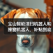 宝山智能洁扫机器人和擦窗机器人,补贴到底补了哪里(图3) 宝山智能洁扫机器人和擦窗机器人,补贴到底补了哪里(图3)