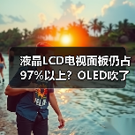 液晶LCD电视面板仍占97%以上？OLED吹了这么多年就这？（图3）