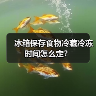 冰箱保存食物冷藏冷冻时间怎么定？（图4）