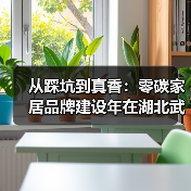 从踩坑到真香：零碳家居品牌建设年在湖北武汉启动（图2）