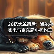 20亿大单背后：海尔小家电与京东厨小签约三年AI之约的真相（图3）
