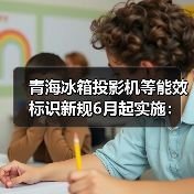 青海冰箱投影机等能效标识新规6月起实施：三个你可能没想到的影响（图3）