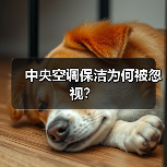 中央空调保洁为何被忽视？（图2）