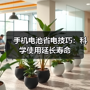 手机电池省电技巧:科学使用延长寿命(图2) 手机电池省电技巧:科学使用延长寿命(图2)